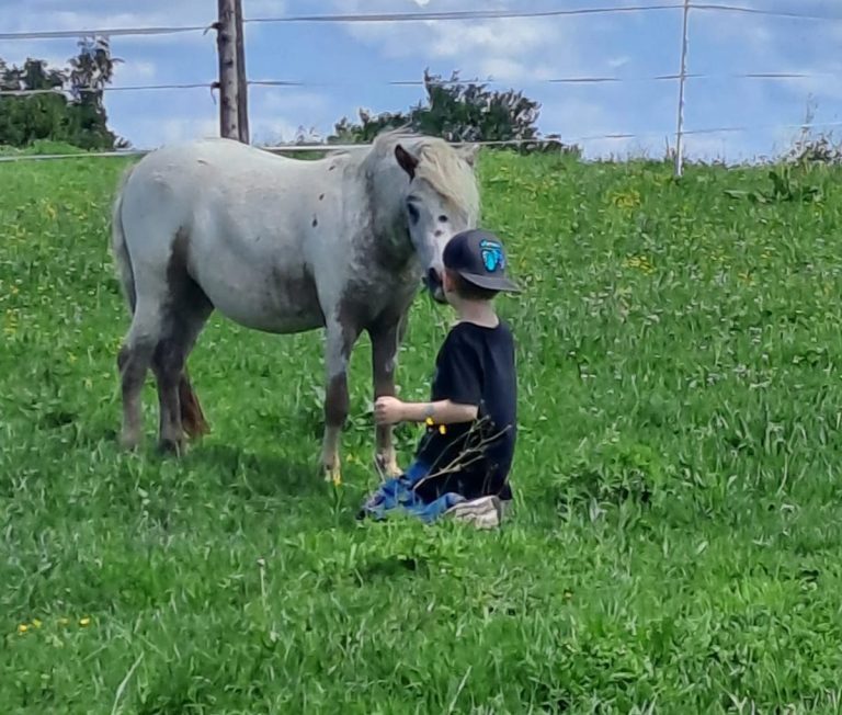 Ein Junge kniet auf grünem Gras und interagiert mit einem grauen Pony.